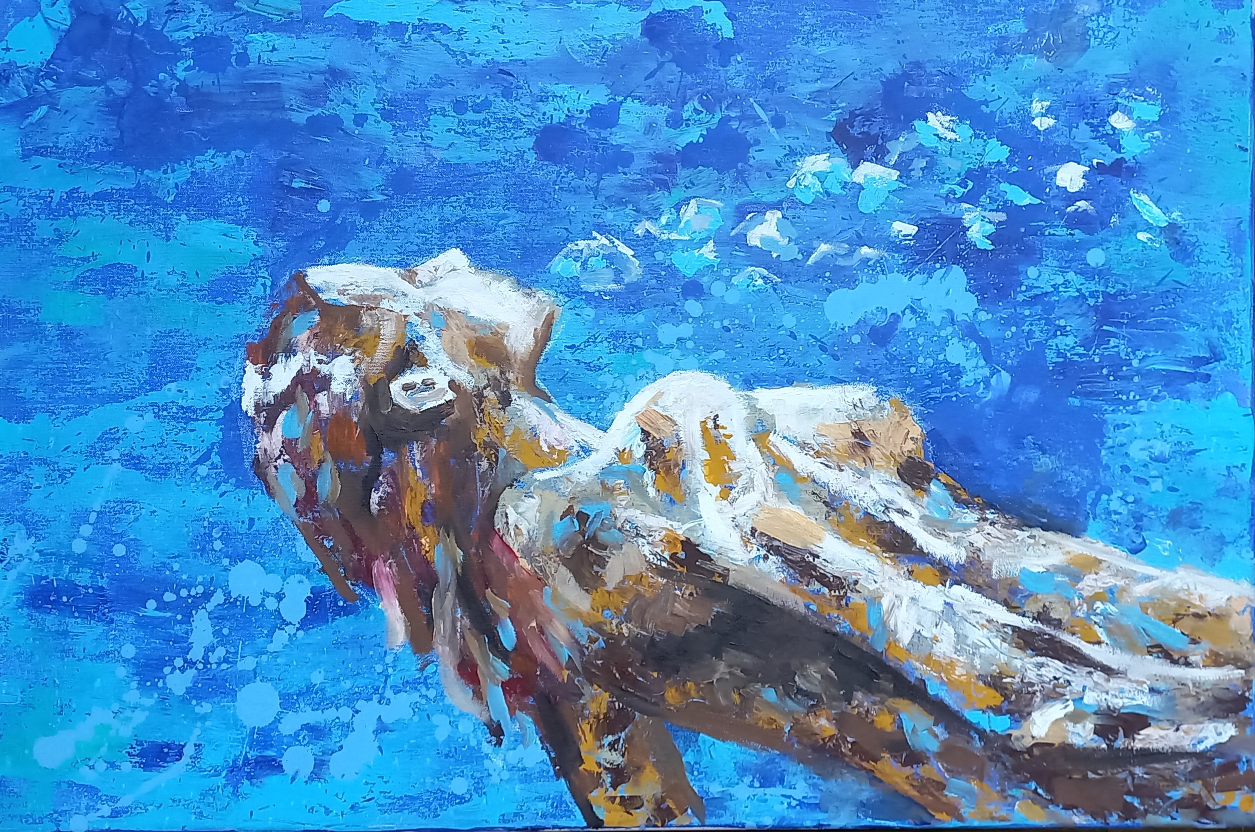 Eine taucherin im blauen Wasser